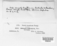 Image Associated With the Occurence